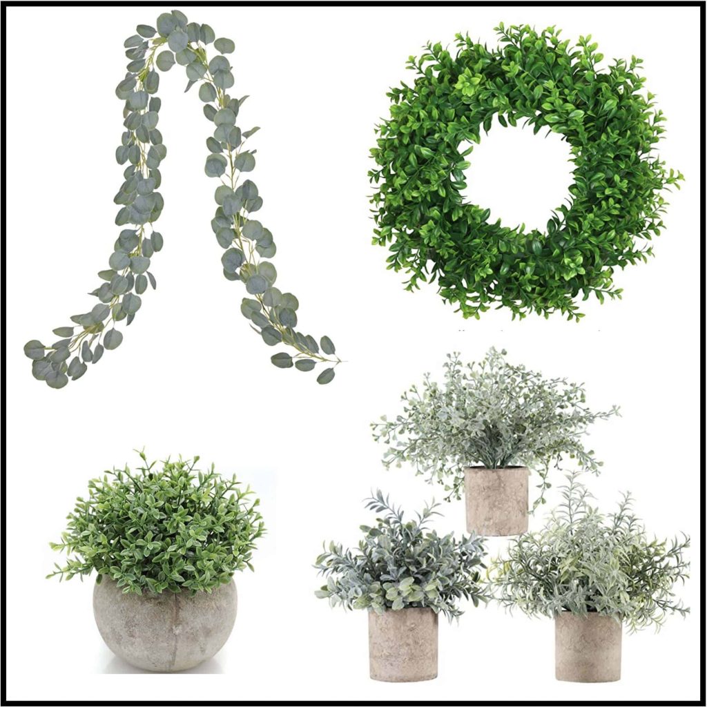 Farmhouse Classroom Decor Plants 1 2