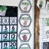 Plant Classroom Decor Bundle