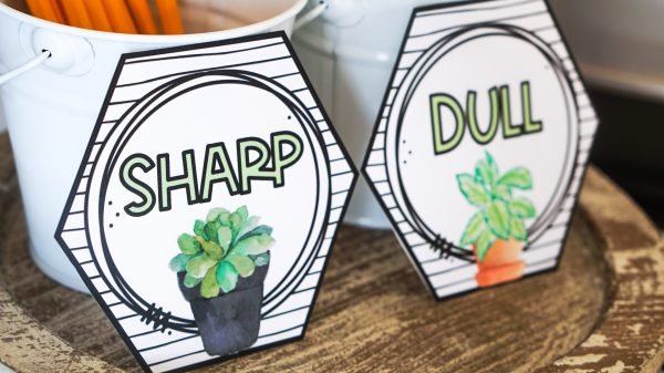 Plant Classroom Decor Bundle