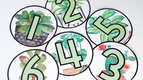 Plant Classroom Decor Bundle