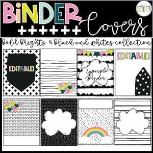 Bright Vintage Vibes Binder Covers and Spines