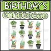 Plant Birthday Display
