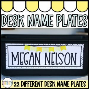 Shows an example of the lemon desk name plates with the name "Megan Nelson" on it