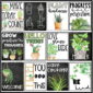 Shows the inspirational posters that are included in the plant classroom theme decor bundle.