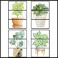 Shows snipped photo examples of the plant teacher toolbox labels. All the labels are blank, but teachers can add their own text to set up their toolbox.