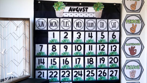 Plant Classroom Theme - Calendar Pack Shows the plant classroom theme calendar pack with the black pocket chart