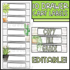 Shows snipped pictures of the plant 10 drawer cart labels. On the right it shows 3 labels used for file, copy, grade. On the left it shows snipped photos of the design of the 10 drawer cart labels