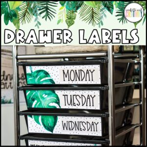 Shows the real life Tropical Classroom Theme 10 drawer cart labels