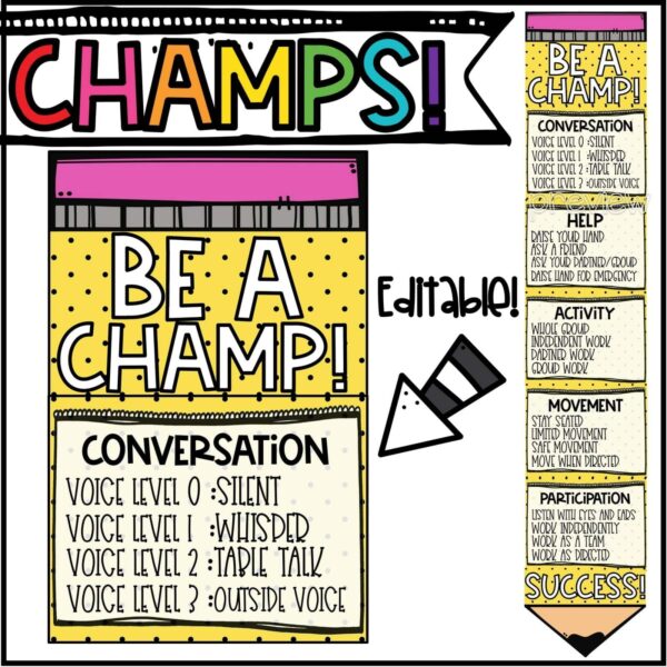 Shows the CHAMPS Posters snipped onto a single photo