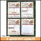 Shows four different Fall Classroom Newsletters laid out on a green grass panel. Every classroom newsletter has teh same pumpkin clipart to celebrate Fall, however they all have a different layout for where teachers can type and input information. Perfect for Parent communication