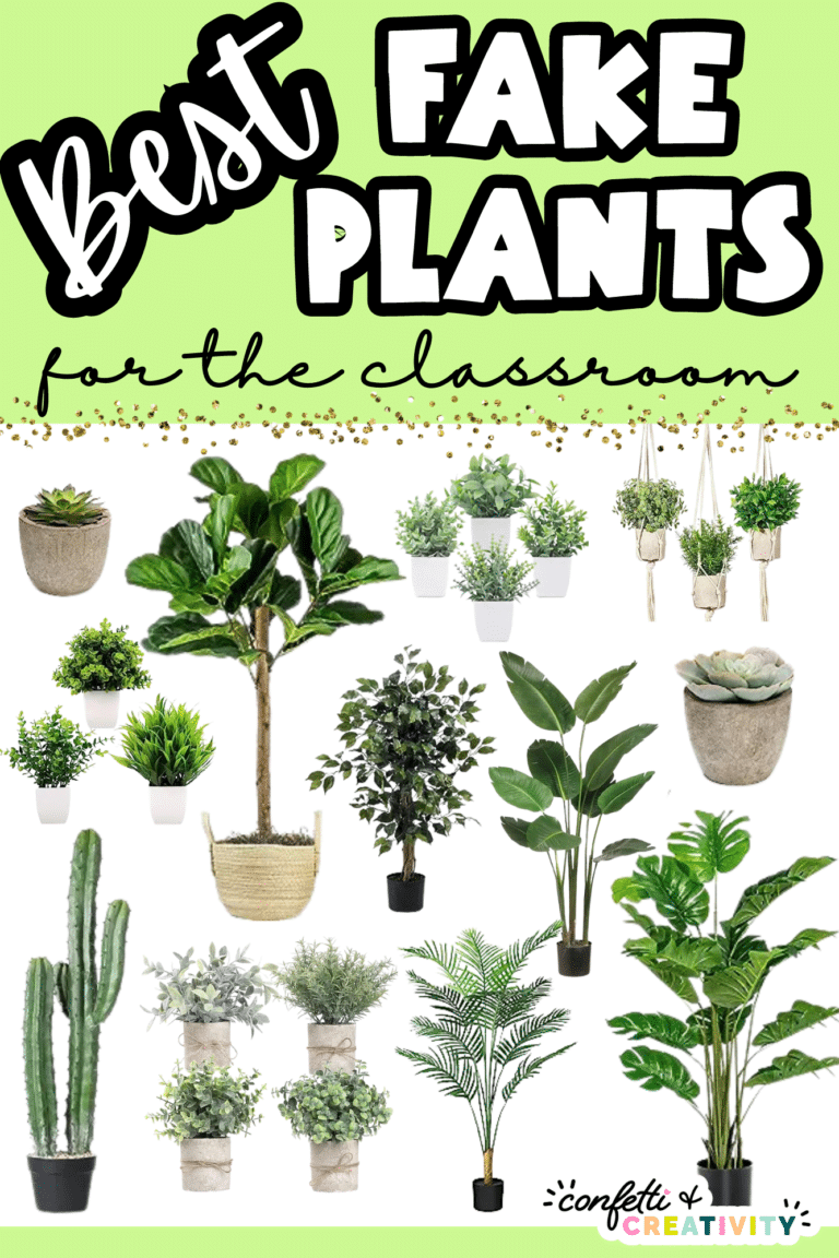 The 12 Best Fake Classroom Plants