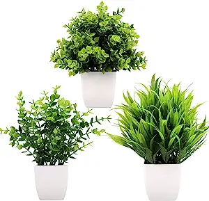 Classroom Plants - 1 Shows example fake short plants found on Amazon