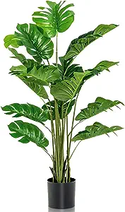 Classroom Plants - 11 Shows a fake tall tropical palm tree like plant. Perfect for a classroom