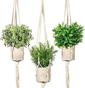Classroom Plants - 4 Shows example fake short plants found on Amazon. Each of the images are hanging plants that are fake