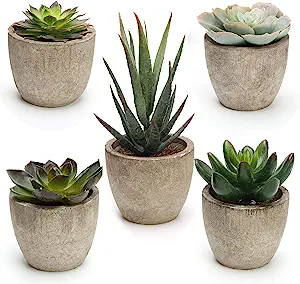 Classroom Plants - 5 Shows short fake plants in a pot. Each example is an example of a scandi plant