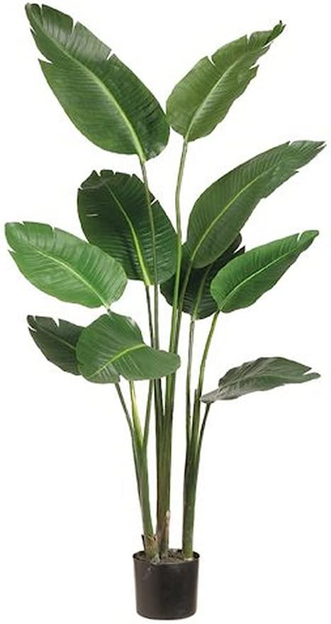 Shows a tall fake tree perfect for the classroom. The plant comes from Amazon