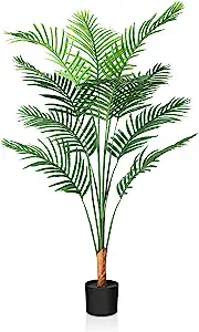 Classroom Plants - 8 Shows a fake palm tree with thin leaves. The tree is tall and perfect for the classroom