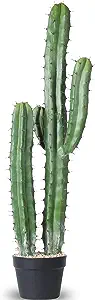 Classroom Plants - 9 Shows a tall fake cactus plant perfect for decorating a classroom with
