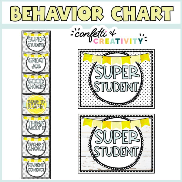 Shows what the behavior chart looks like set up