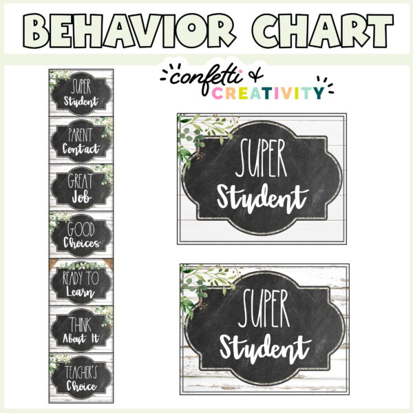 Shows the Behavior Chart Set up