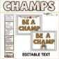 Shows what the entire CHAMPS Posters look like put together