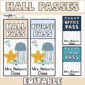 Shows what the Hall passes look like up close