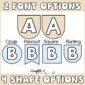 Shows the two font options and the four shape options