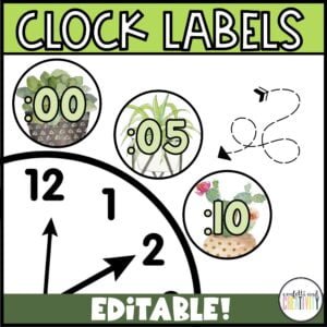 Plant Clock Labels