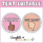Shows two different versions of classroom hand signals with the text "Editable" at the top of the image
