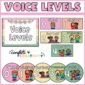 Shows the entire voice level collection set up