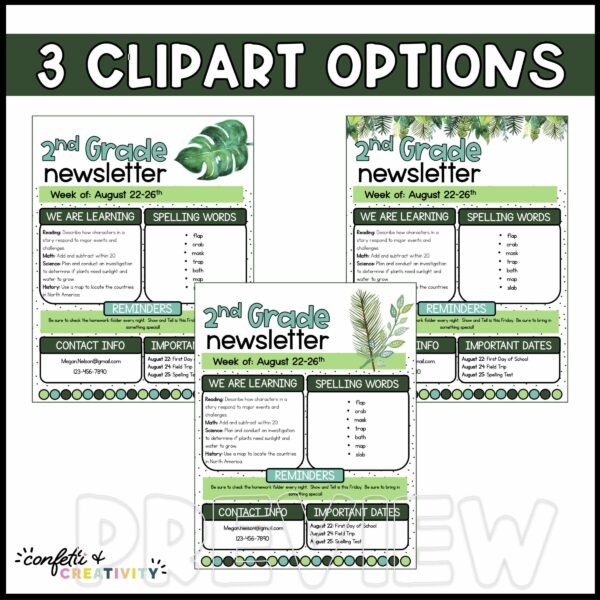 Tropical Classroom Newsletters - Clipart Options Shows a preview of the three different clipart options for the classroom newsletters
