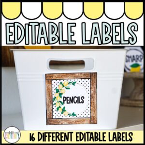 Shows an example of the lemon classroom label with the word "pencil" on it. The label is on a bin